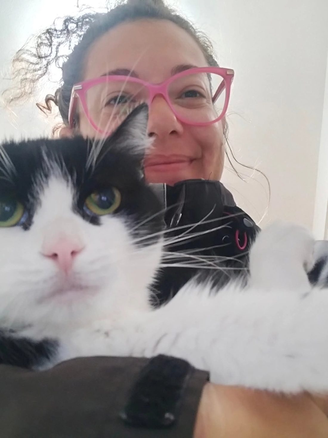 Una delle pet sitter tiene in braccio un gatto bianco e nero